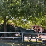 Casablanca Villa *